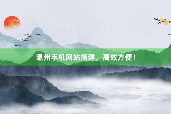 温州手机网站搭建，高效方便！