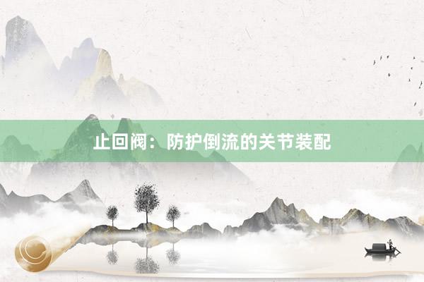 止回阀：防护倒流的关节装配
